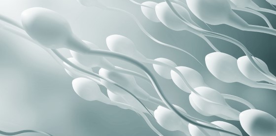 what is semen analysis